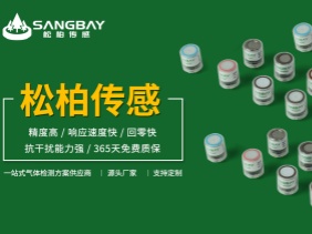 電化學(xué)氣體傳感器儲存秘籍