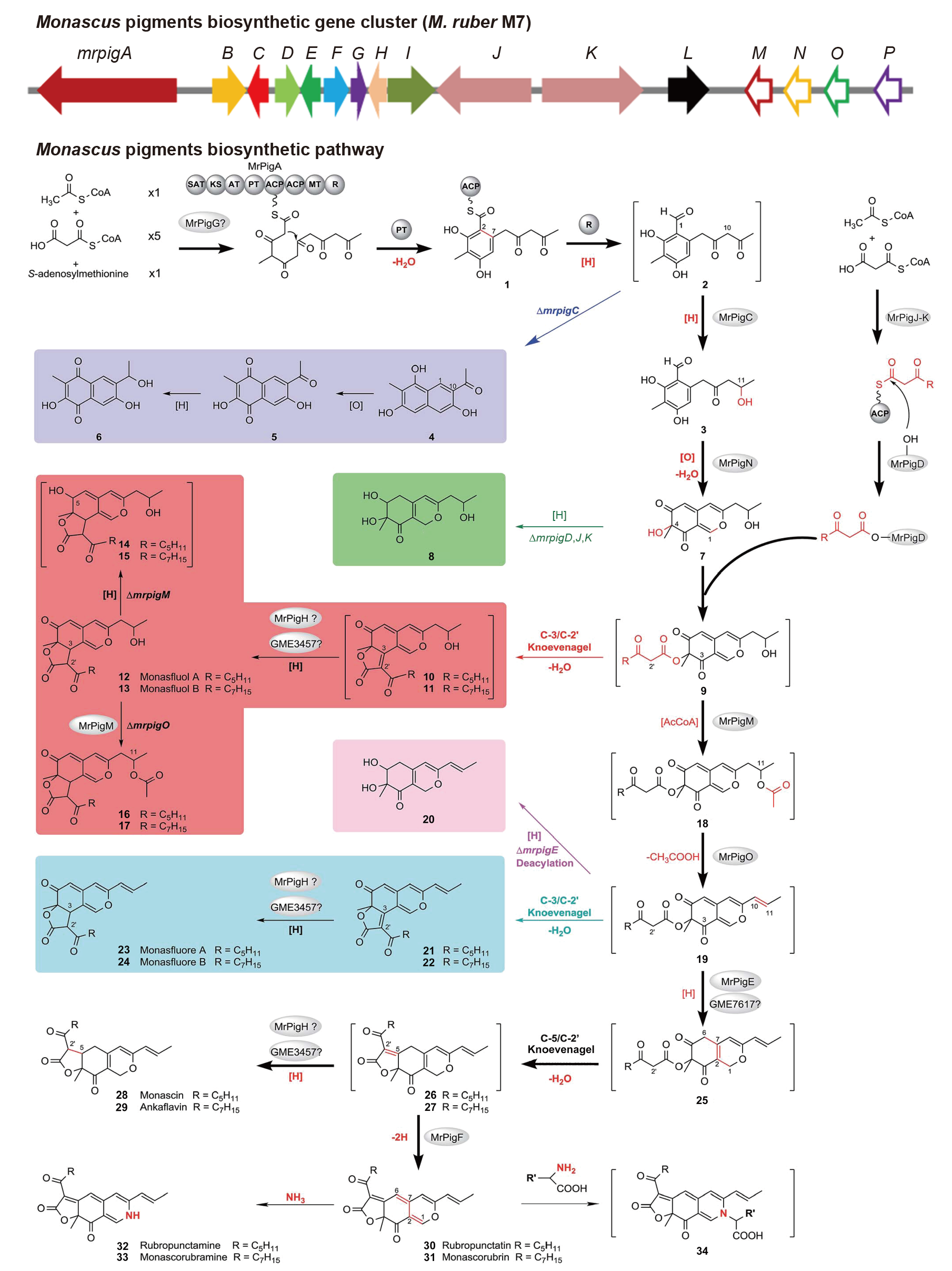 figures-1c30102ed07d4f9f933f005dbe169f9e-TB-2022-0736-t3